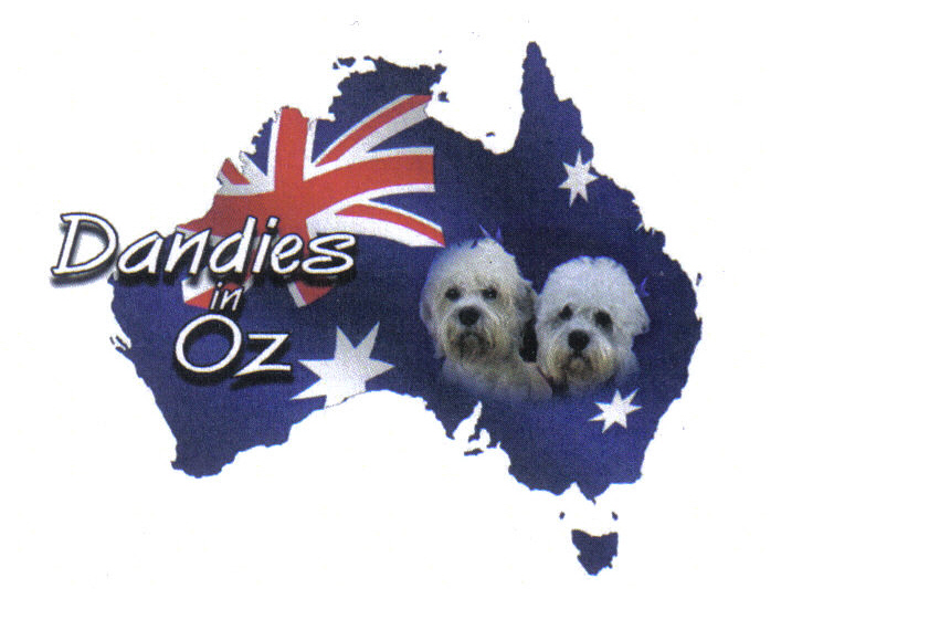 Dandies in Oz logo